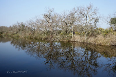 149 Réserve du Teich.JPG