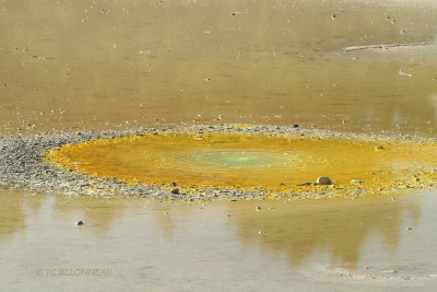 047.51 Wai-O-Tapu.jpg