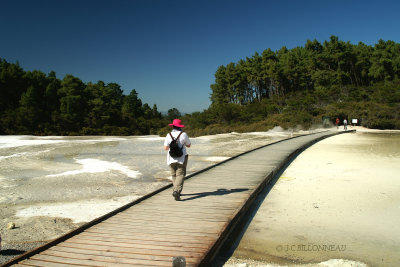 047.54 Wai-O-Tapu.jpg