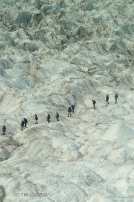 061.4 Glacier Franz Joseph.jpg
