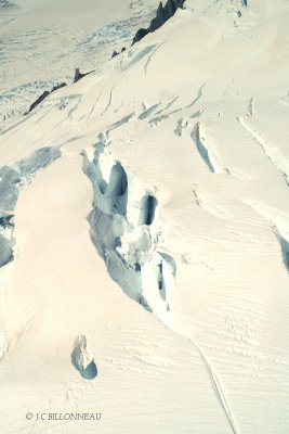 061.5 Glacier Franz Joseph.jpg