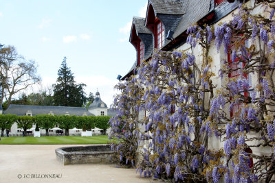 006 Chenonceau.jpg