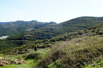 058 Col de Teghime.jpg
