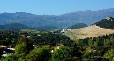 085 Patrimonio.JPG