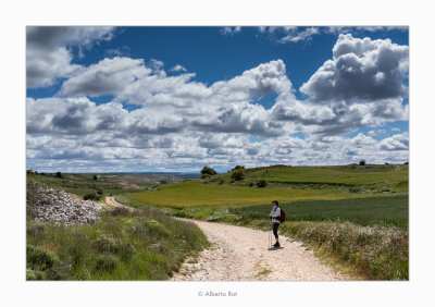 Etapa 1 - Burgos-Hornillos del Camino