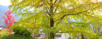 4575_DSCF8529_stitch.jpg