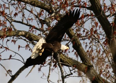 IMG_0010.jpg