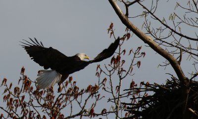 IMG_0015.jpg