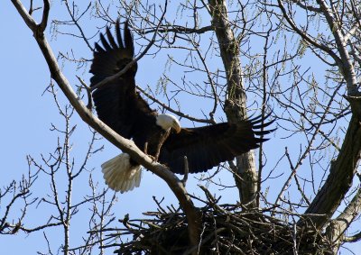 IMG_0149.jpg