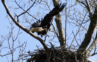IMG_0153.jpg