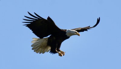 IMG_0162.jpg