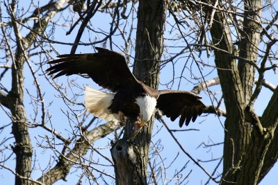 IMG_0177.jpg