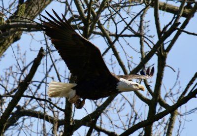 IMG_0183.jpg