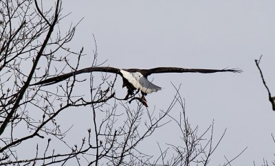 IMG_3541.jpg
