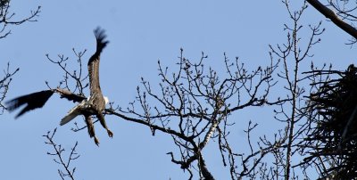 IMG_3606.jpg