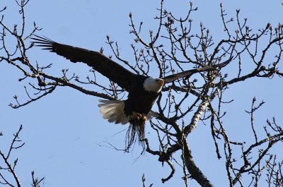 IMG_3621.jpg