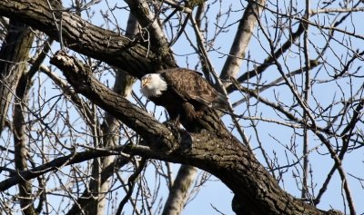 IMG_3647.jpg