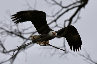 IMG_7755.jpg