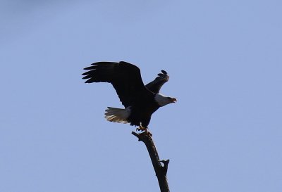 IMG_7811.jpg