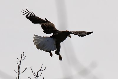 IMG_7875.jpg