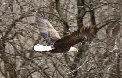 IMG_7912.jpg