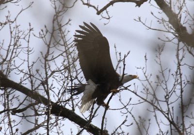 IMG_7926.jpg