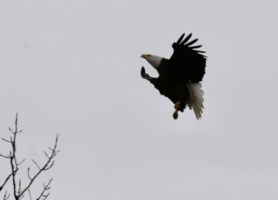 IMG_7964.jpg