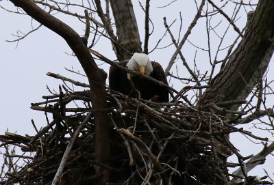 IMG_8031.jpg