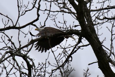 IMG_8041.jpg