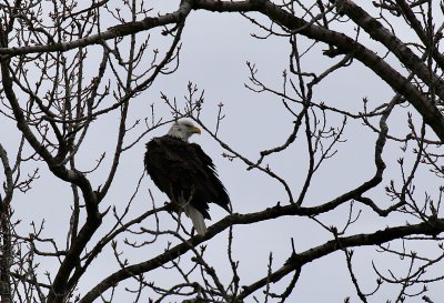 IMG_8063.jpg