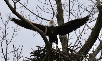 IMG_8105.jpg