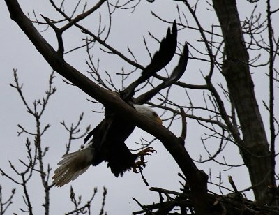 IMG_8133.jpg