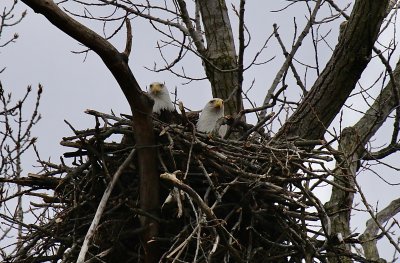 IMG_8146.jpg