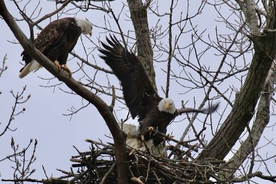 IMG_8183.jpg