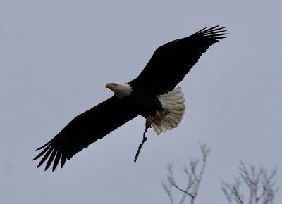 IMG_8200.jpg