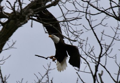 IMG_8203.jpg