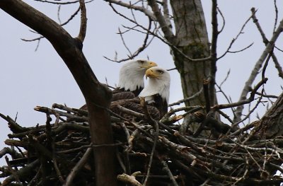 IMG_8245.jpg