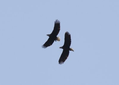 IMG_8434.jpg