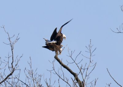 IMG_8557.jpg
