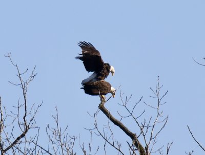 IMG_8560.jpg