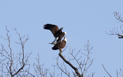 IMG_8563.jpg