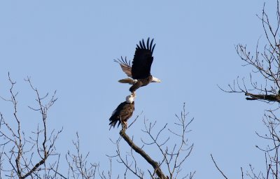 IMG_8564.jpg