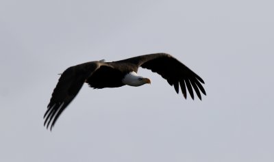 IMG_9168.jpg