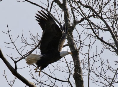 IMG_9326.jpg