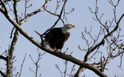IMG_9363.jpg