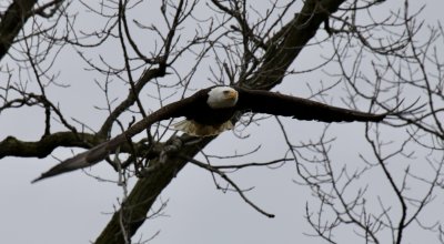 IMG_9458.jpg