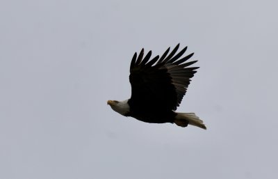 IMG_9475.jpg