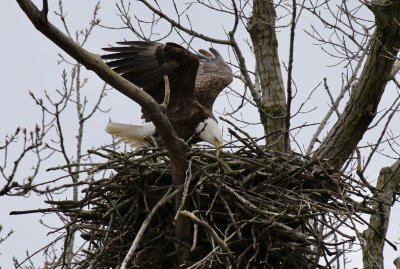 IMG_9481.jpg