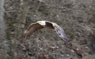 IMG_9593.jpg