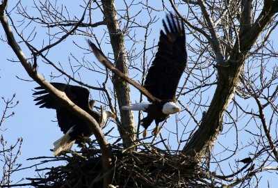 IMG_9688.jpg